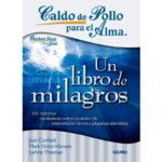 Caldo de pollo para el Alma